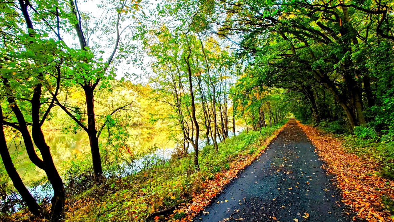Lesní cesta v okolí chaty na podzim